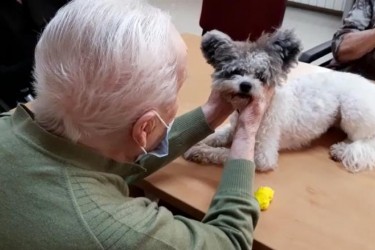 Terapia asistida con perros